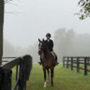 Meet your Posher, Jane